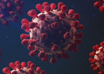 Opsi PPKM Darurat Muncul Untuk Atasi Penyebaran Covid-19 di Indonesia