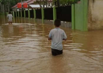 Sempat Surut, Banjir Kembali Landa Dua Desa di Kabupaten Aceh Jaya