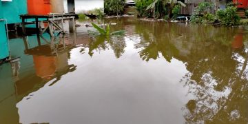[UPDATE]: Banjir Kapuas Hulu, Sebanyak 14.889 Jiwa di 47 Desa Terdampak