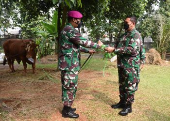 Sambut Peringatan Hari Raya Idul Adha, Kasal Serahkan Hewan Qurban