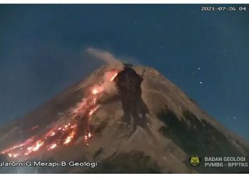 Kebakaran Vegetasi di Lereng Gunung Merapi, BPBD Siapkan Langkah Antisipatif