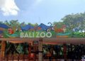 Dampak PPKM Level 4, Hewan-Hewan di Bali Zoo Pun Ikut Merasakan!