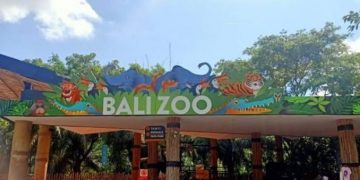 Dampak PPKM Level 4, Hewan-Hewan di Bali Zoo Pun Ikut Merasakan!