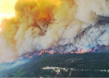 Gelombang Panas Ekstrem di Kanada Akibatkan Kebakaran Hutan, Tewaskan 700 Orang