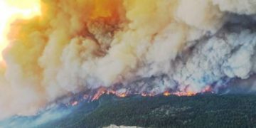 Gelombang Panas Ekstrem di Kanada Akibatkan Kebakaran Hutan, Tewaskan 700 Orang