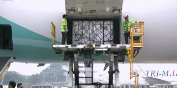 Vaksin Sinopharm Tahap ke-5 Tiba di Indonesia Siang Ini