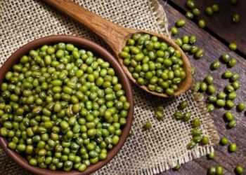 Kacang Hijau Baik untuk Penderita Diabetes