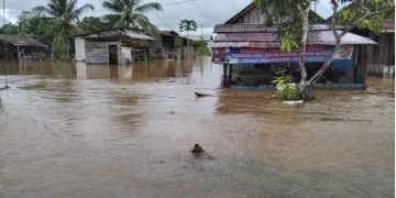 Sebanyak 455 Rumah terendam Banjir Kutai Kartanegara