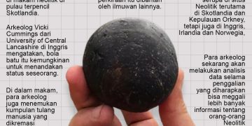 Bola Batu Misterius Ditemukan di Makam Neolitik Skotlandia
