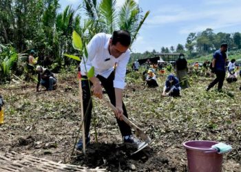 Presiden Jokowi Tanam Mangrove Bersama Masyarakat di Cilacap
