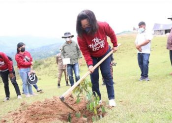 Satika Simamora dan Mahasiswa Prodi Theologi IAKN Tarutung Tanam Pohon Berbuah di Desa Wisata Aritonang Muara