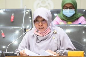 Anggota Komisi XI DPR RI Anis Byarwati (dok;dpr.go.id)
