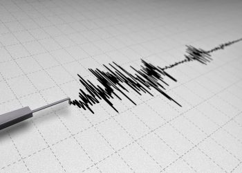 Gempa Bumi Magnitudo 3,5 di Bali Tidak Berpotensi Sunami