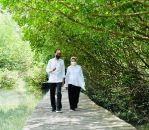 Presiden dan Ibu Negara Iriana Joko Widodo meninjau hutan mangrove di Tahura Ngurah Rai, Kabupaten Badung, Bali, Jumat (08/10/2021). (Foto: BPMI Setpres/Laily Rachev)