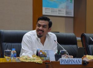 Wakil Ketua Komisi VII Maman Abdurrahman. Foto: Runi/Man