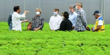 Ajak Dubes Tinjau Persemaian Rumpin, Jokowi: Indonesia Serius Tangani Perubahan Iklim