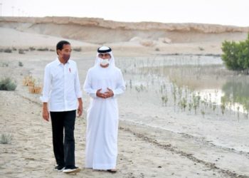 Presiden Jokowi Tanam Mangrove di Abu Dhabi