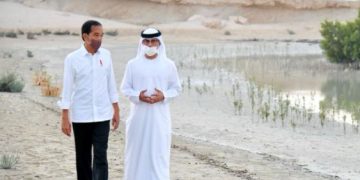 Presiden Jokowi Tanam Mangrove di Abu Dhabi