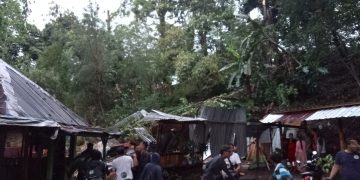 Tiga Warga Meninggal Dunia Akibat Angin Kencang di Wilayah Kabupaten Mojokerto