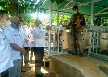 Wali Kota Kunjungi Usaha Ternak Kambing Milik Darmansyah Di Kelurahan Padurenan