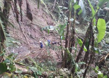 Pascalongsor Kabupaten Gianyar, Tim Gabungan Masih Lakukan Operasi Pencarian Satu Warga