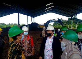 Kemendag Dorong Ekspor Biomassa Cangkang Sawit ke Jepang