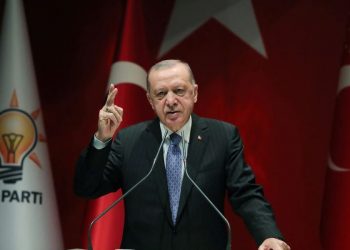 Erdogan: Turki Ingin Tingkatkan Hubungan dengan Israel dan Mesir