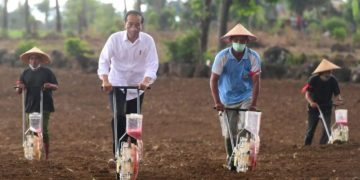 Jokowi Tanam Jagung Bersama Petani di Jeneponto