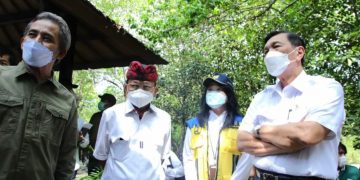 Kunjungi Lokasi Penanaman Mangrove, Luhut: Indonesia Salah Satu Negara Super Power Karbon Kredit