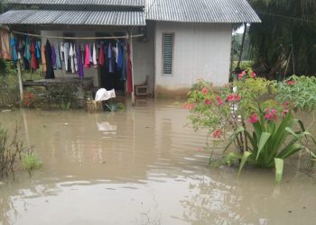 Curah Hujan Tinggi, 150 KK Terdampak Banjir di Kabupaten Lampung Timur