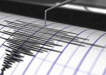 Guncangan Kuat Gempa M7,4 Dirasakan Warga Wilayah Maluku Barat Daya