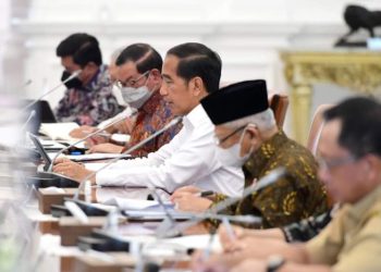 Pemerintah Dukung Pembentukan Induk Perusahaan dan Transisi Energi di PLN