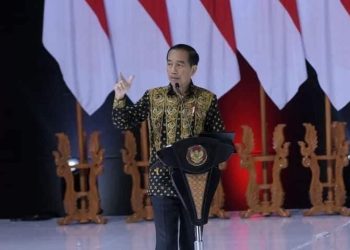 Presiden Dorong Daerah Turunkan Stunting dan Kemiskinan Ekstrem