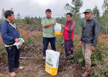 Program Plasma Intercrop PT TPL, Bantu Bibit Jagung Bagi Warga Habinsaran