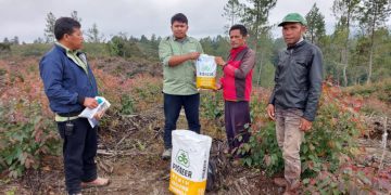 Program Plasma Intercrop PT TPL, Bantu Bibit Jagung Bagi Warga Habinsaran