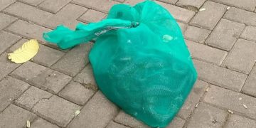 Jelang Dikunjungi Anies, Rumah Mantan Gubernur Banten Wahidin Halim Dilempari Ular Kobra