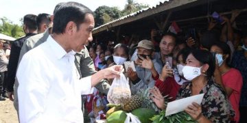 Presiden Dorong Pemda Benahi Pasar Tradisional
