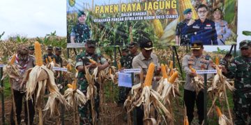 Bios – 44 Antarkan Kodim 0613/ Ciamis Sukses Panen Raya Jagung di Lahan Ketahanan Pangan