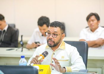 Senator Papua Barat Nilai Pemerintah Pusat Amputasi Otonomi Daerah
