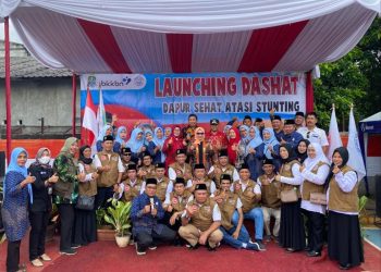 Perangi Stunting, Plt Ketua TP PKK Ajak Masyarakat Optimalkan Dapur Sehat