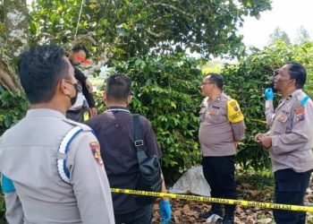 Pria di Saitnihuta Ditemukan Tewas Tergantung di Pohon Nangka
