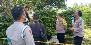 Pria di Saitnihuta Ditemukan Tewas Tergantung di Pohon Nangka