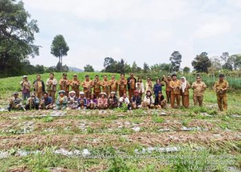 Pemkab Humbahas dan Batubara Bahas Rencana Kerjasama Antar Daerah Khususnya Tanaman Bawang Merah