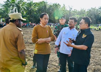 Pemerintah Siapkan 10 ribu Hektare Lahan di Keerom Untuk Penanaman Jagung