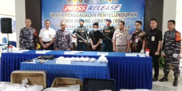 Nilainya Fantastis, TNI AL Berhasil Gagalkan Penyelundupan Benih Lobster Gunakan Pesawat Udara