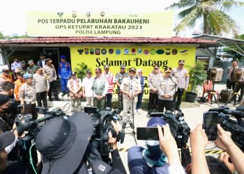 Kepala BNPB Dampingi Menko PMK Tinjau Arus Balik Idulfitri di Beberapa Lokasi