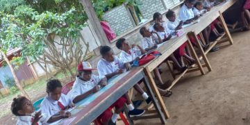 Pemerintah Diminta Ambil Langkah Serius Soal Bangunan Sekolah SD Row-Row Manokwari