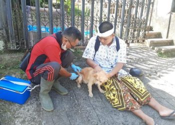 Satu Desa di Pulau Timor NTT Diisolasi Akibat Kasus Rabies