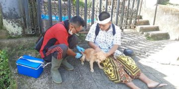 Satu Desa di Pulau Timor NTT Diisolasi Akibat Kasus Rabies