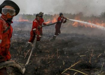 Tersangka Pembakar Lahan Terancam Denda Rp 10 Miliar